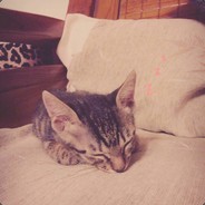 【TW】@BITCHES@【HK】