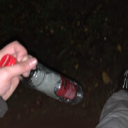 0 eller 100 bajer svans