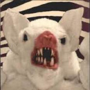 SHIKAKA avatar