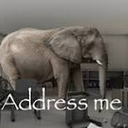 The Elephant In the Room