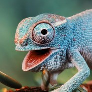 Chameleo