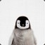Depressed Penguin