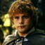 SamWise The Brave