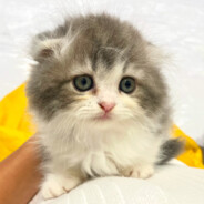 ハルは甘えん坊