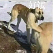 直接干拉然后玩手机