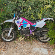 Slexib ʕ•ᴥ•ʔ