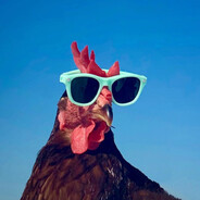 ChickenLover Steam avatar
