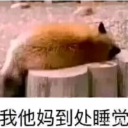 这个名字行不行