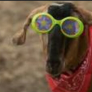 z;'fgj'sfgd;'dfh;'j;'fgsdshad