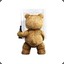 TED-4-