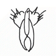 ඏඏඏඏඏඏඏ