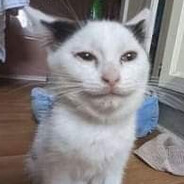 лил чича