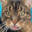 Katzenspeck