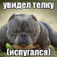 простие меня &gt;.&lt;