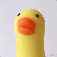 周冬雨van（♂）