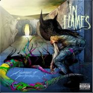 Brig - steam id 76561197963228648