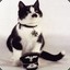 Kittler