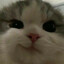 Shubi