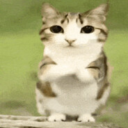 [Team Tuvi] Tere Miku - steam id 76561199559007340