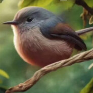 Анальный дайвер