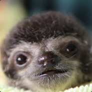 mesef - steam id 76561197960505963