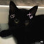 Mancykas-