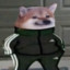 AdiDoge