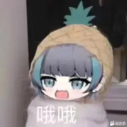 一般路过型白河豚）手