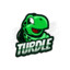 Turdle Soup