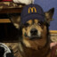 MacDognalds