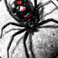 LatrodectuS*