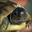 SuperTurtle