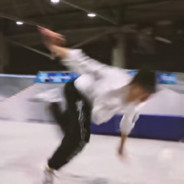 非著名Piggyturtle