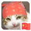 迷人的蛋糕