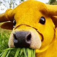 沙二顶级突破手熊大