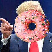 󠀡󠀡󠀡⁧⁧Donut Trump