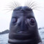 Jakob_4020