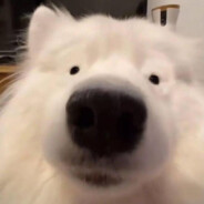 性感修勾在线发牌