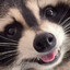 Wolfy