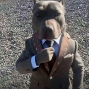 average methaDONe user