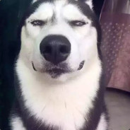 没错，正是在下