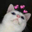 Meow Meow