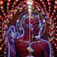 Reflection avatar