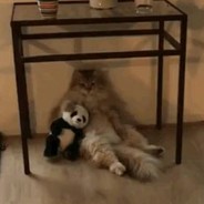 请督促我早点睡觉