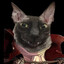 Needlecat