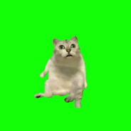 デイヨン