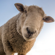 队友打架我打电