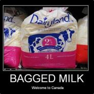 ║Mr. Milk Bags║