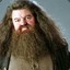 Rubeus Hagrid