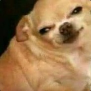 Your_Disappointed_Dog